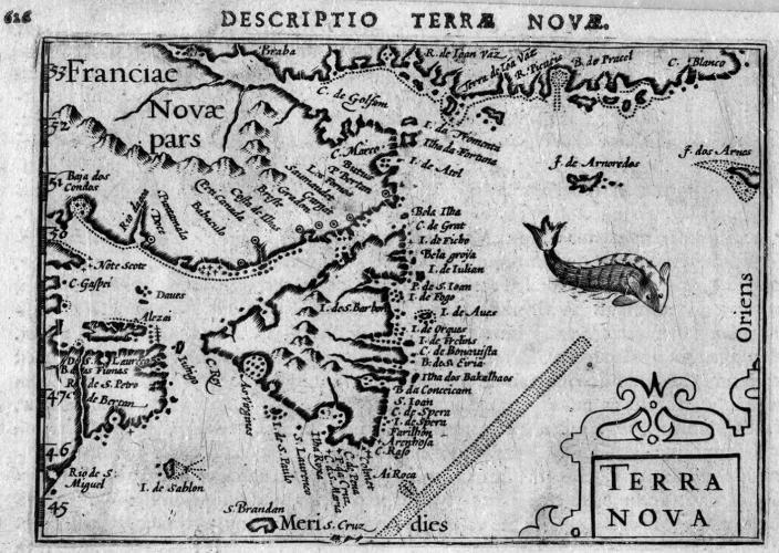 Carte Terre-Neuve