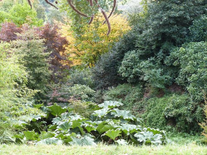 Jardins_du_château_de_Josselin