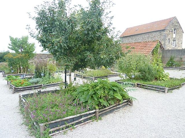 Abbaye de Landévennec : le jardin médiéval (jardin des simples) reconstitué